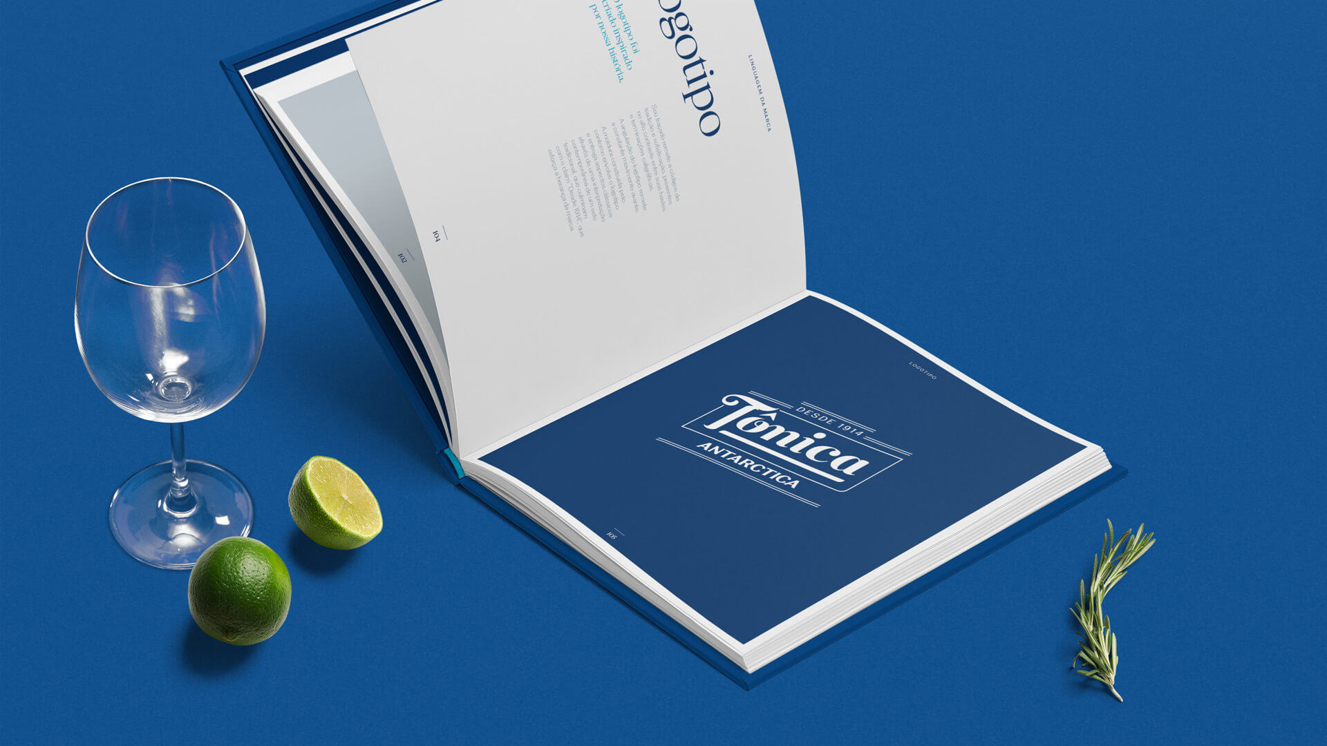 tonica-antartica-identidade-visual