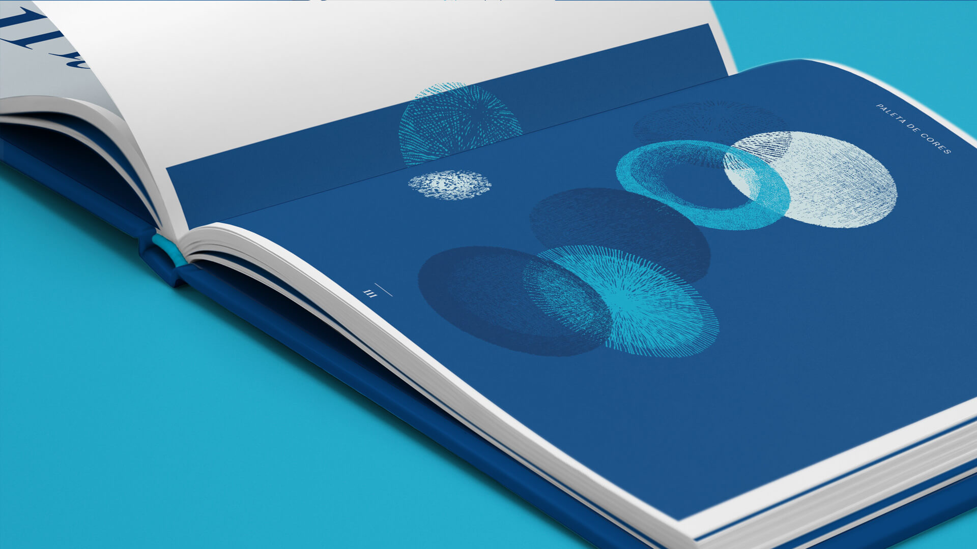 tonica-antartica-paleta