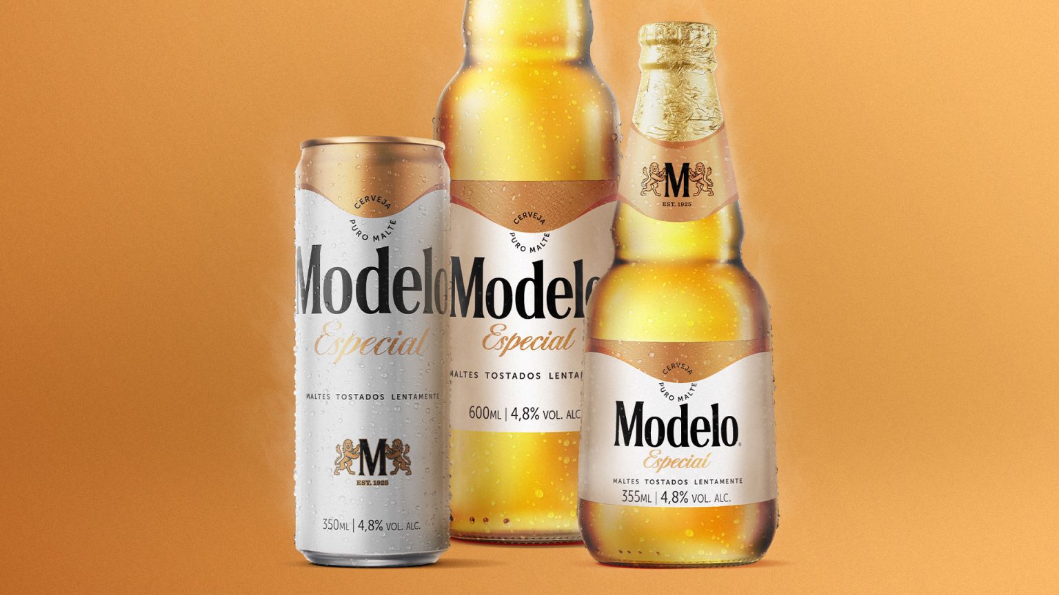 marca-cerveja-modelo
